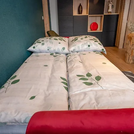 Novy Stylovy Apartman Blizko Centra Апартаменты